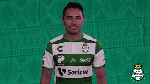clubsantos giphygifmaker GIF