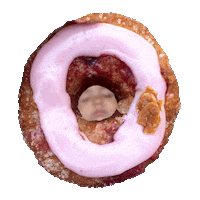 Donuts Sticker by foodbabyny