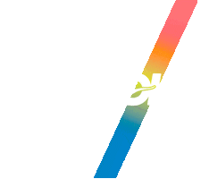 Ccc Occ Sticker by HOKA