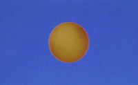 solar eclipse sun GIF by Warby Parker