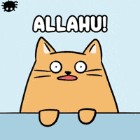Surprise Screaming Inside GIF by MESA My Emotional Support Animal