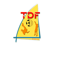 Torneo Tdf Sticker by Torneo Tommaso Di Febo