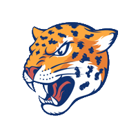 santateresa school honduras escuela jaguars Sticker