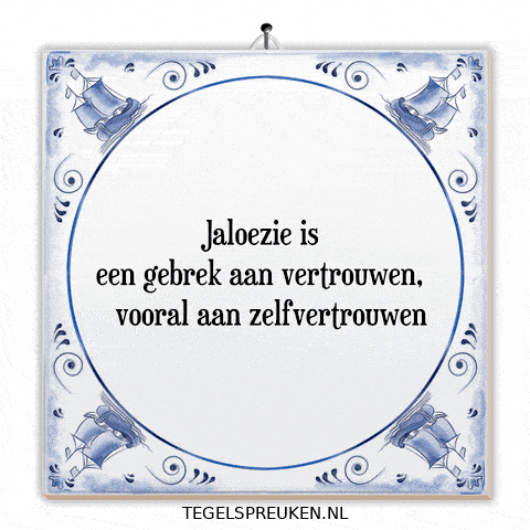 Nl Wijsheid GIF by Tegelspreuken.nl