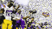 College Sports Football GIF by LSU Tigers