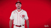 Albert Almora GIF by Cincinnati Reds
