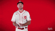 Albert Almora GIF by Cincinnati Reds
