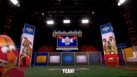 Let The Puppy Bowl Begin!