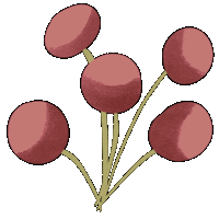Beauty Flower Sticker