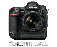 Nikoninstabadge D5 Sticker by NikonIndia