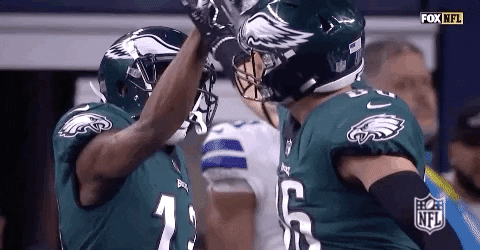 high five 2018 nfl GIF by NFL