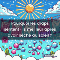 Rayons Ultraviolets GIF by ExpliquePourquoi.com