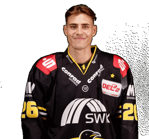 Del2 Seidenstadt Sticker by Krefeld Pinguine