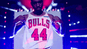 Sport Basketball GIF by Chicago Bulls