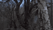 GIF by Imperial College London