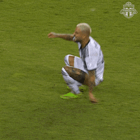 Bmo Field Football GIF by Toronto FC