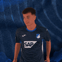 Sport Bundesliga GIF by TSG Hoffenheim