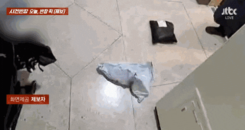 jmy0334 giphyupload GIF