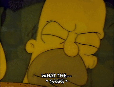 Season 1 Episode 6 GIF by The Simpsons