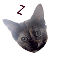 Cat Sleeping Sticker