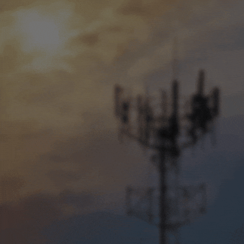 Phone Searching GIF by RedPocket