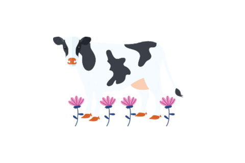 leitelarsa giphyupload cow vaca leitelarsa Sticker