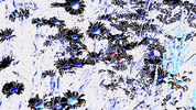 kitsune-kowai summer nature flower flowers GIF