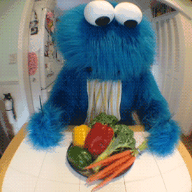 time diet GIF