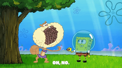 episode 1 GIF by SpongeBob SquarePants