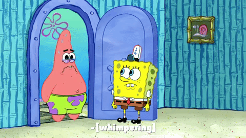 season 9 gary's new toy GIF by SpongeBob SquarePants