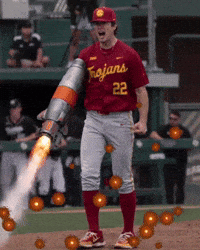 Fight On Big Ten GIF