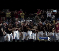 Fight On Usc Trojans GIF