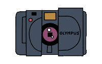 fr3udi film analog camera vienna Sticker