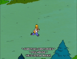 homer simpson episode 23 GIF