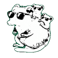 Opossum Gruene Sticker