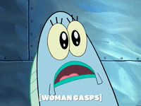 season 5 the two faces of squidward GIF by SpongeBob SquarePants