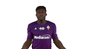 Alfred Viola Sticker by ACF Fiorentina