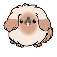 Dog Pequines Sticker