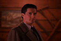 season 2 GIF by Twin Peaks on Showtime