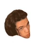 Sticker Album Sticker by Spotify