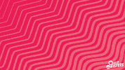 QuizMeisters happy fun excited good GIF