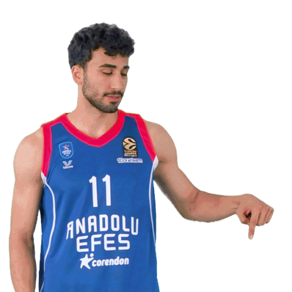 Sport Basketball Sticker by Anadolu Efes SK
