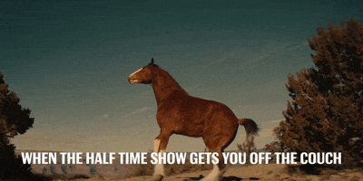 super bowl GIF by Budweiser