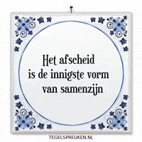 Humor Nl GIF by Tegelspreuken.nl