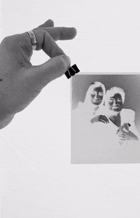 GIF by veduta