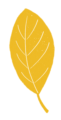 Fall Autumn Sticker by Daniela Nachtigall