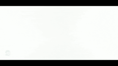 Shepardoakenshieldprime giphygifmaker GIF