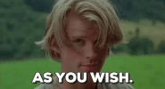the princess bride GIF