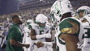 College Football GIF by USF Athletics