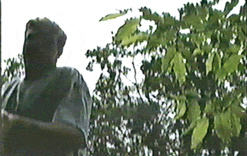woods headbang GIF by The NGB